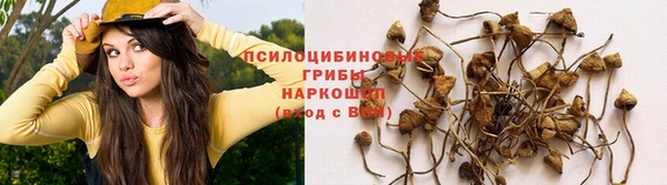 каннабис Дмитров