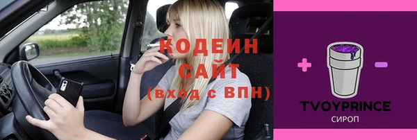 меф Дмитриев
