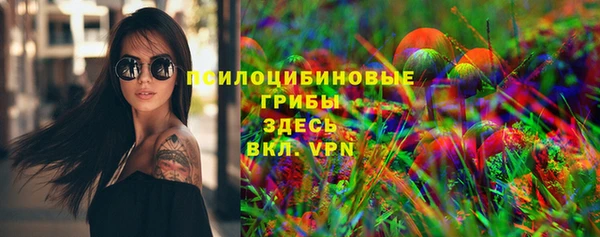 меф Дмитриев