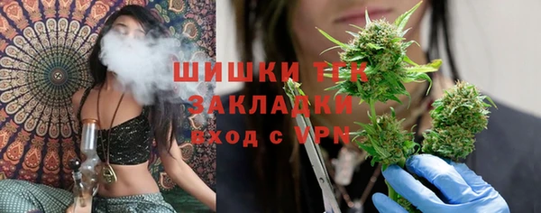 меф Дмитриев