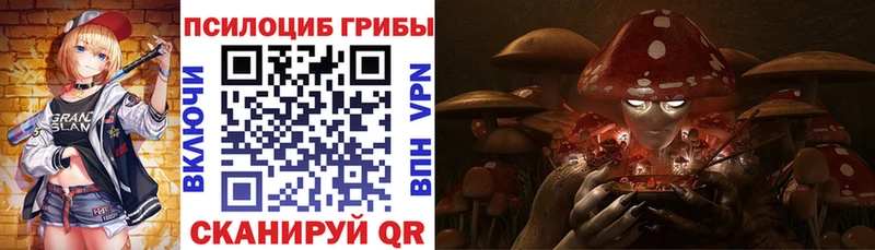 Галлюциногенные грибы Psilocybe  купить закладку  shop как зайти  Карасук 