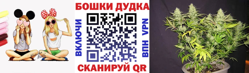 Марихуана сатива  дарнет шоп  Карасук 